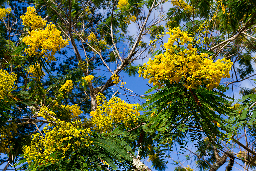 Kauai - 100.jpg